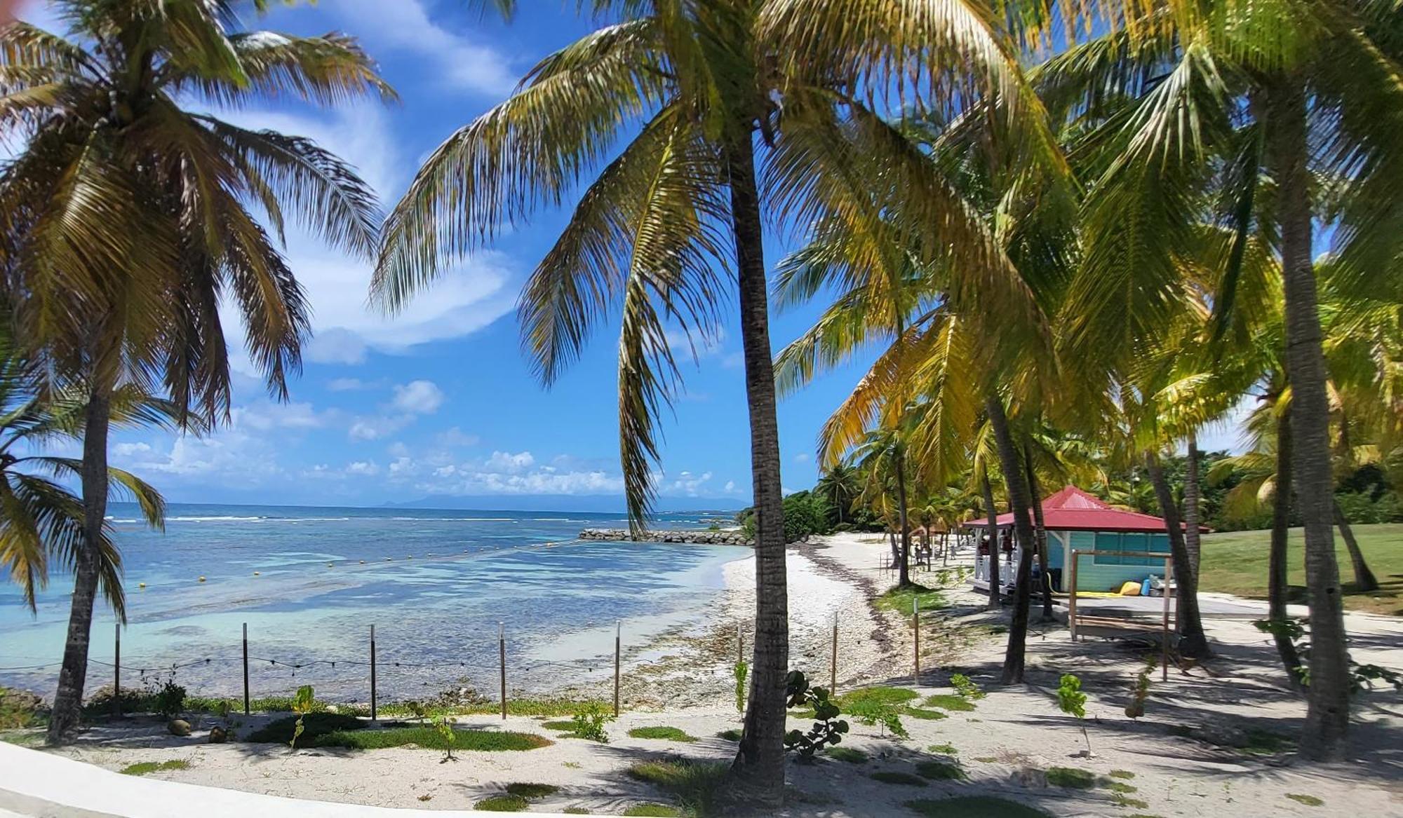Studios Angoreva Vue Mer - Cote Plage Ou Jardin - Village Vacances - Sainte-Anne Guadeloupe Courcelles Екстер'єр фото