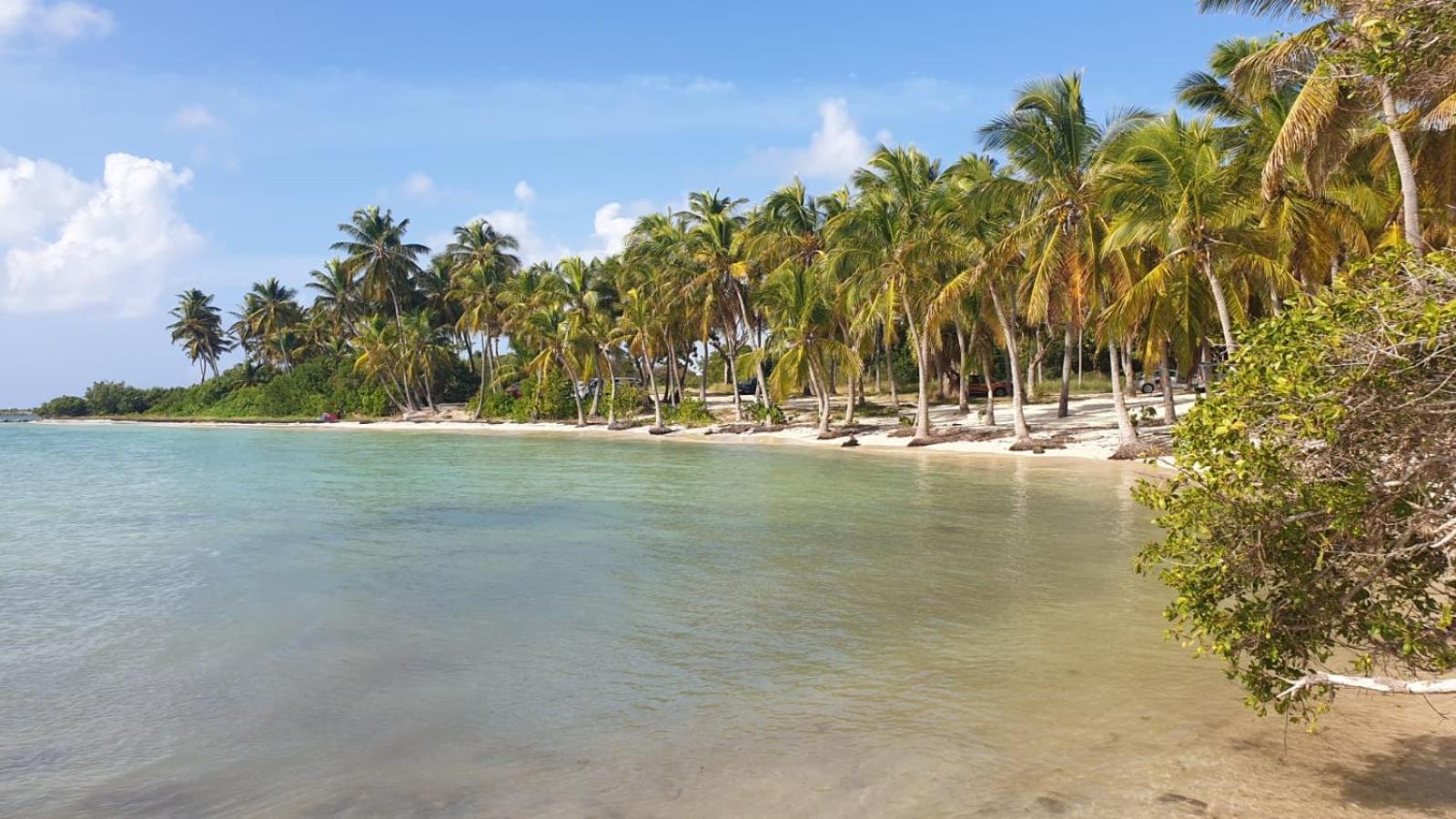 Studios Angoreva Vue Mer - Cote Plage Ou Jardin - Village Vacances - Sainte-Anne Guadeloupe Courcelles Екстер'єр фото