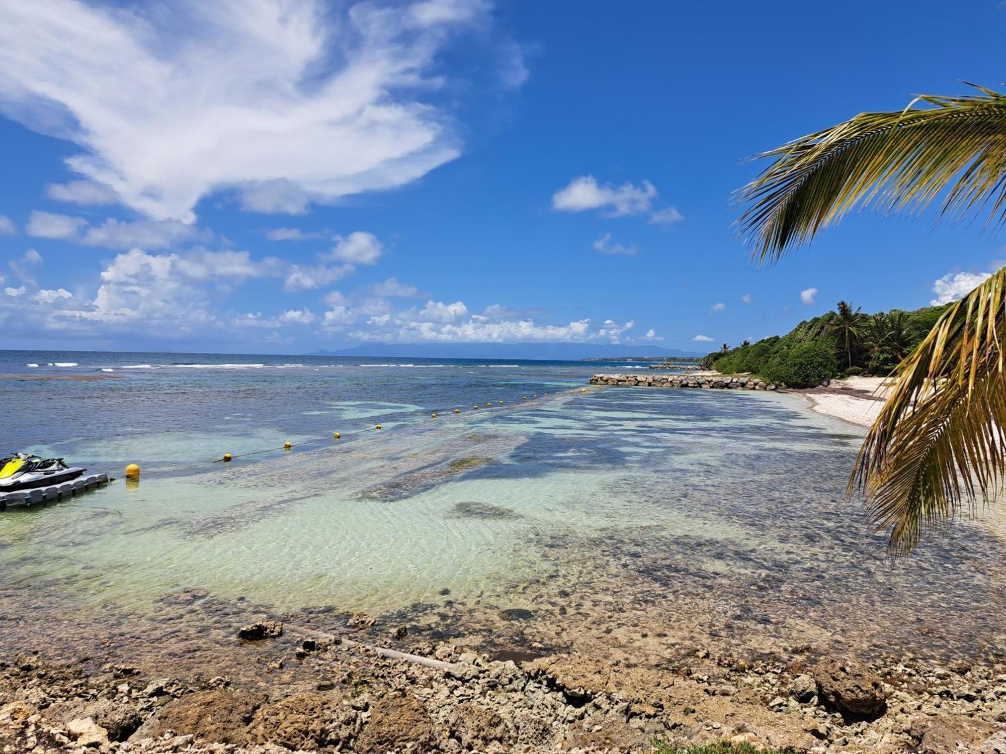 Studios Angoreva Vue Mer - Cote Plage Ou Jardin - Village Vacances - Sainte-Anne Guadeloupe Courcelles Екстер'єр фото