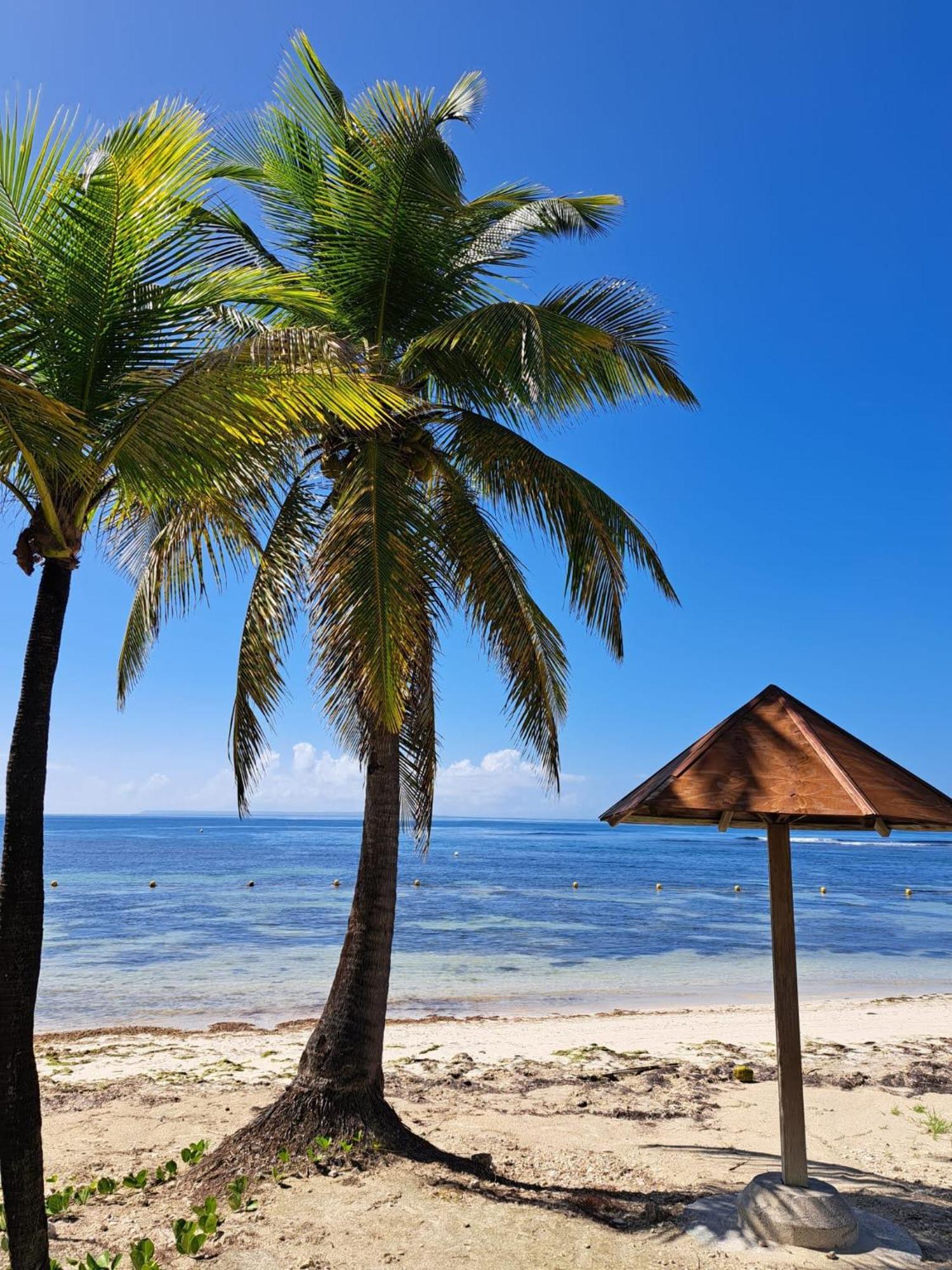 Studios Angoreva Vue Mer - Cote Plage Ou Jardin - Village Vacances - Sainte-Anne Guadeloupe Courcelles Екстер'єр фото
